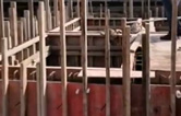 林頓全自動(dòng)洗車(chē)機(jī)與客戶上下密切協(xié)作！兩套全自動(dòng)洗車(chē)機(jī)設(shè)備水池（隧道機(jī)基礎(chǔ)）現(xiàn)已施工完畢